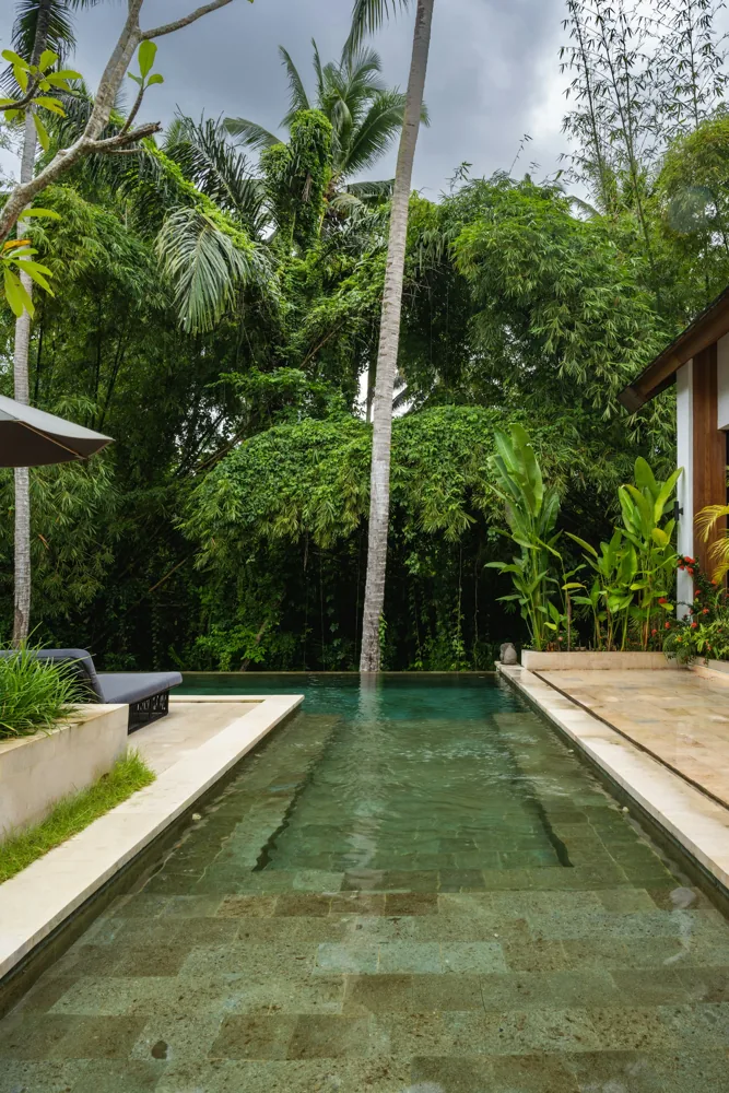 Garden pathway with a narrow pool lined by palms