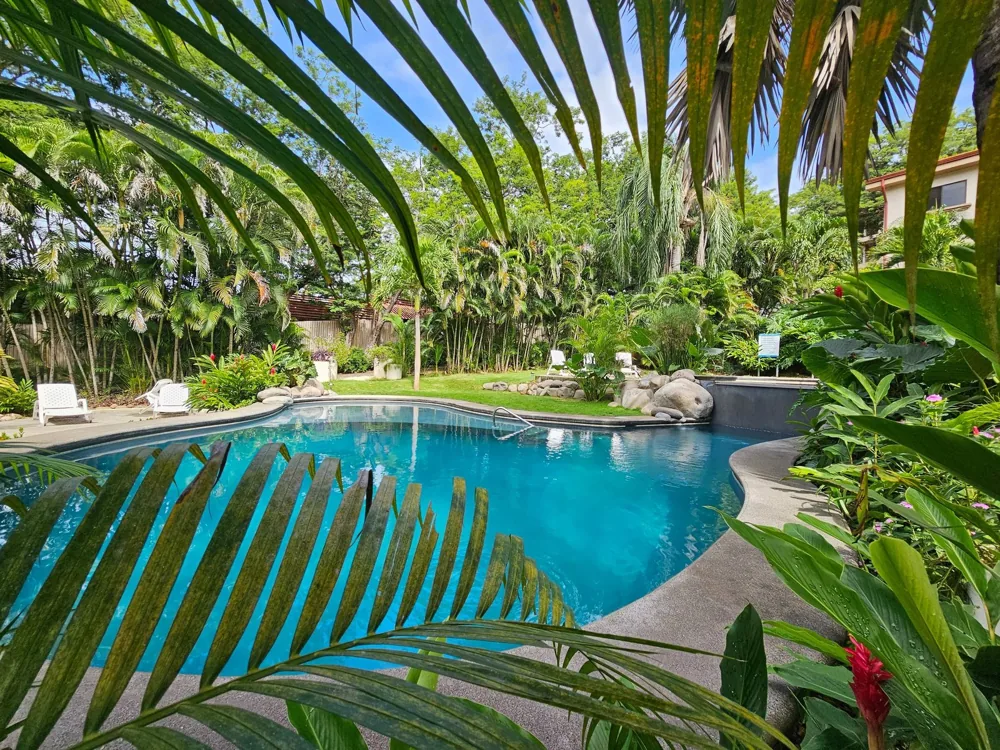 Pool and sundeck framed by palm trees at the Serena development